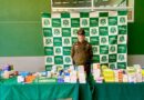 En medio de operativo de fiscalización: Carabineros incautó más de 1.390 cajas de medicamentos a comerciante ilegal en Chillán